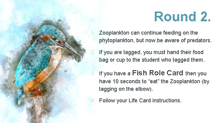 Round 2. 1. Zooplankton can continue feeding on the phytoplankton, but now be aware