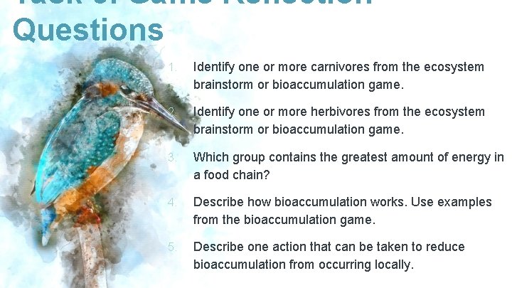 Task 3. Game Reflection Questions 1. Identify one or more carnivores from the ecosystem