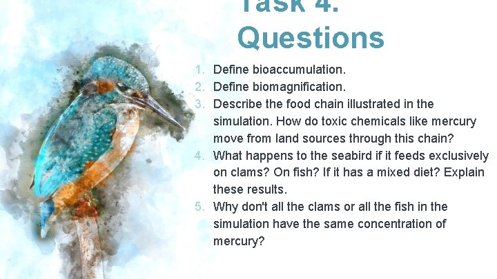 Task 4. Questions 1. Define bioaccumulation. 2. Define biomagnification. 3. Describe the food chain
