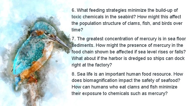 6. What feeding strategies minimize the build-up of toxic chemicals in the seabird? How