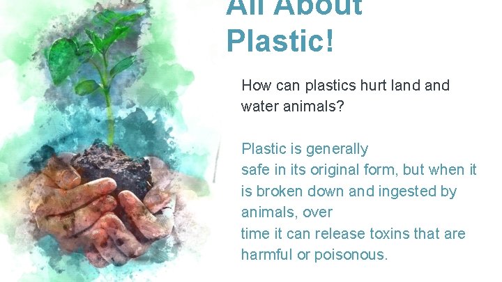 All About Plastic! How can plastics hurt land water animals? Plastic is generally safe