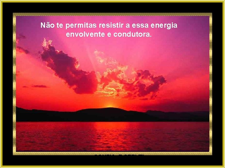 Não te permitas resistir a essa energia envolvente e condutora. CONFIA E SERVE! 