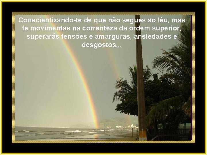 Conscientizando-te de que não segues ao léu, mas te movimentas na correnteza da ordem