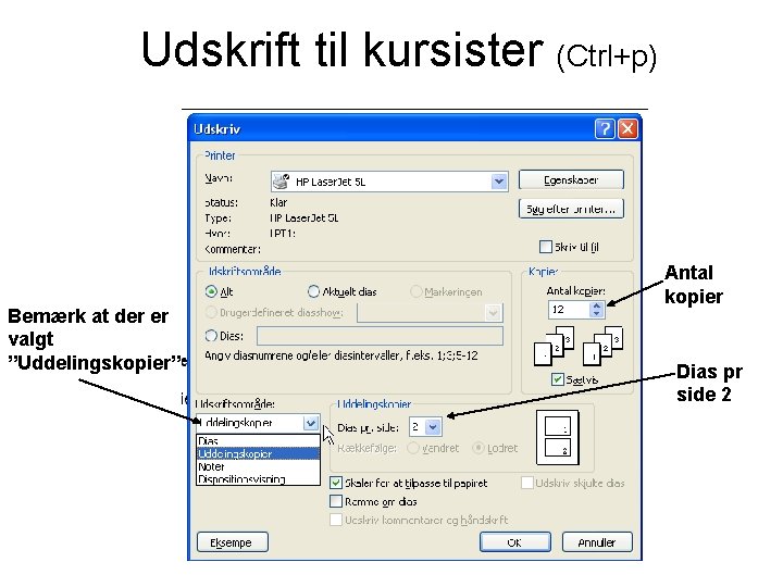 Udskrift til kursister (Ctrl+p) Bemærk at der er valgt ”Uddelingskopier” Antal kopier Dias pr