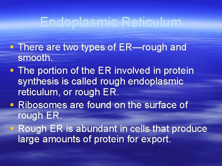 Endoplasmic Reticulum § There are two types of ER—rough and smooth. § The portion