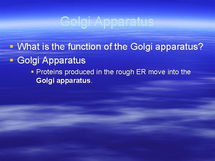 Golgi Apparatus § What is the function of the Golgi apparatus? § Golgi Apparatus