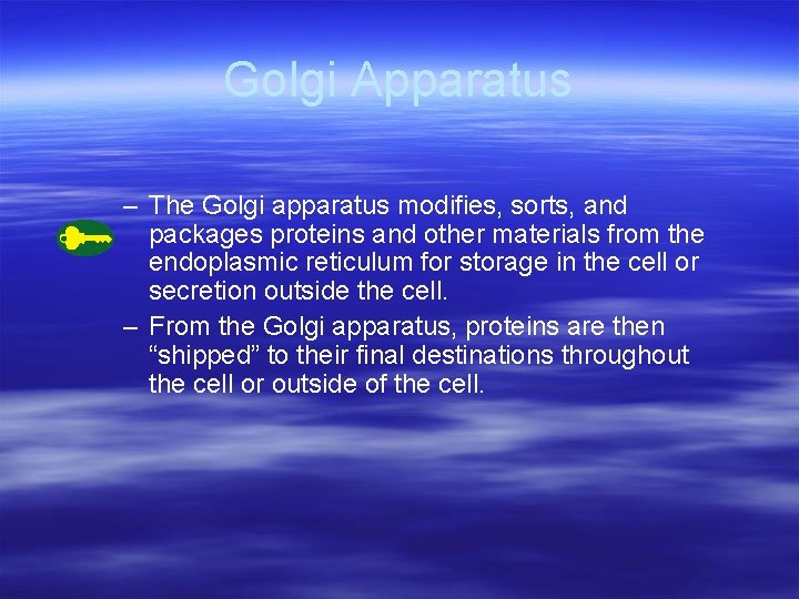 Golgi Apparatus – The Golgi apparatus modifies, sorts, and packages proteins and other materials