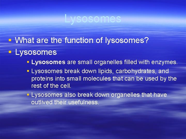 Lysosomes § What are the function of lysosomes? § Lysosomes are small organelles filled