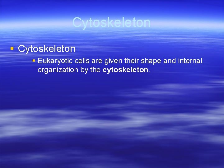 Cytoskeleton § Eukaryotic cells are given their shape and internal organization by the cytoskeleton.