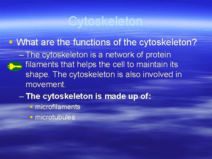 Cytoskeleton § What are the functions of the cytoskeleton? – The cytoskeleton is a