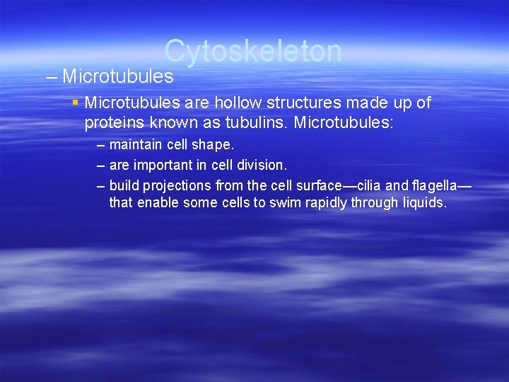 Cytoskeleton – Microtubules § Microtubules are hollow structures made up of proteins known as