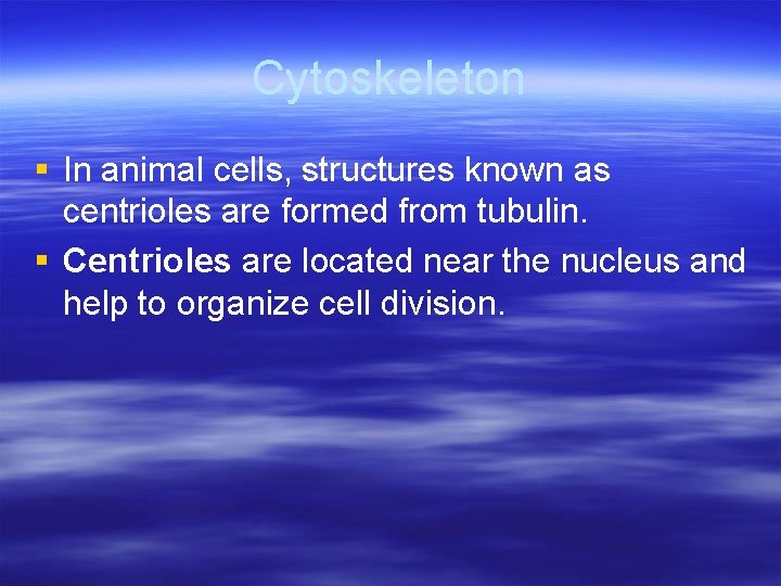 Cytoskeleton § In animal cells, structures known as centrioles are formed from tubulin. §