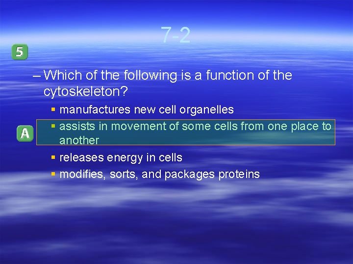 7 -2 – Which of the following is a function of the cytoskeleton? §