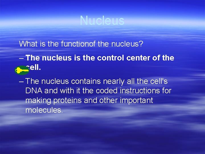 Nucleus What is the functionof the nucleus? – The nucleus is the control center