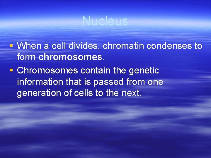 Nucleus § When a cell divides, chromatin condenses to form chromosomes. § Chromosomes contain