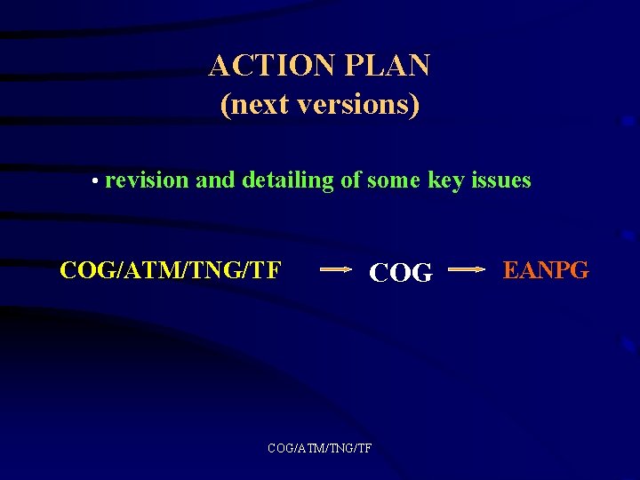 ACTION PLAN (next versions) • revision and detailing of some key issues COG/ATM/TNG/TF EANPG