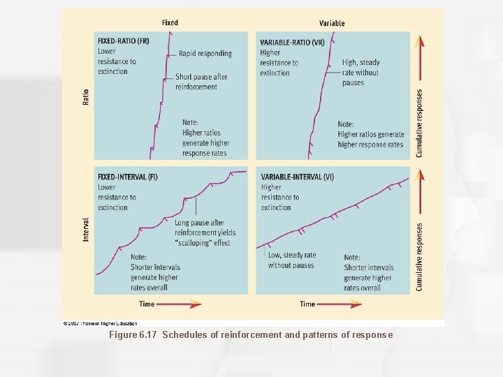 Figure 6. 17 Schedules of reinforcement and patterns of response 