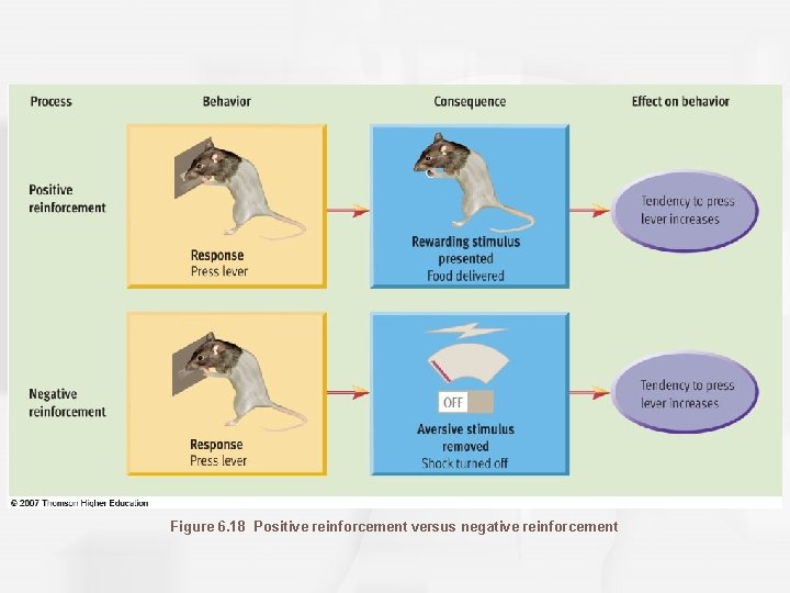 Figure 6. 18 Positive reinforcement versus negative reinforcement 