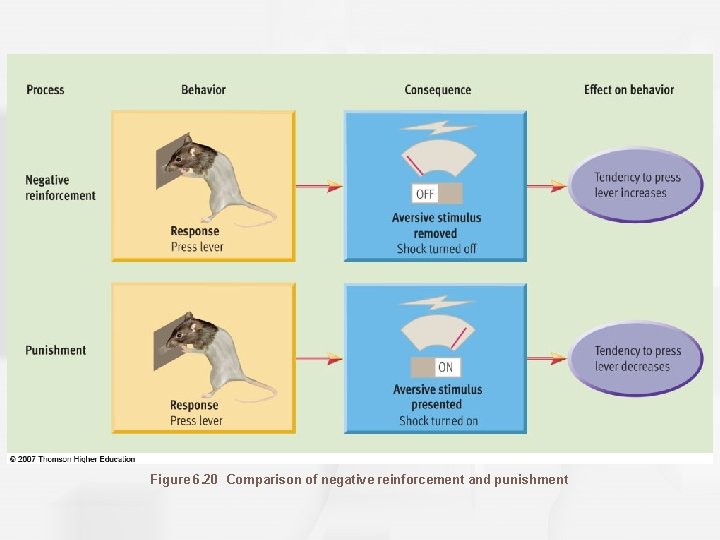 Figure 6. 20 Comparison of negative reinforcement and punishment 