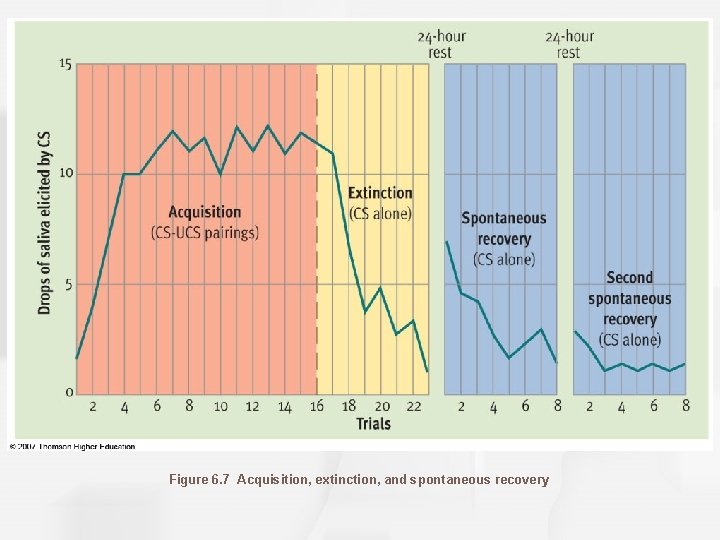 Figure 6. 7 Acquisition, extinction, and spontaneous recovery 