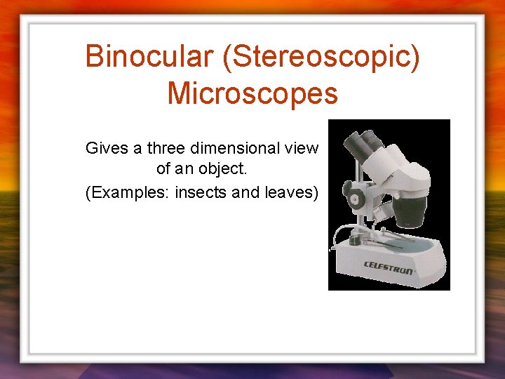 Binocular (Stereoscopic) Microscopes Gives a three dimensional view of an object. (Examples: insects and