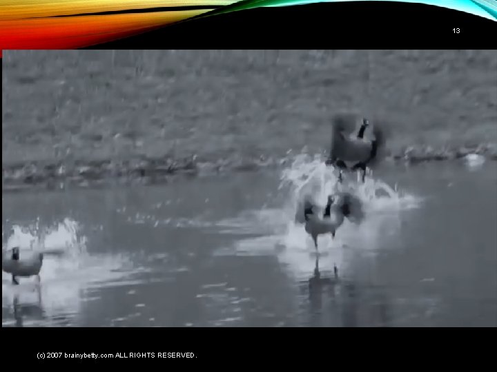 13 (c) 2007 brainybetty. com ALL RIGHTS RESERVED. 