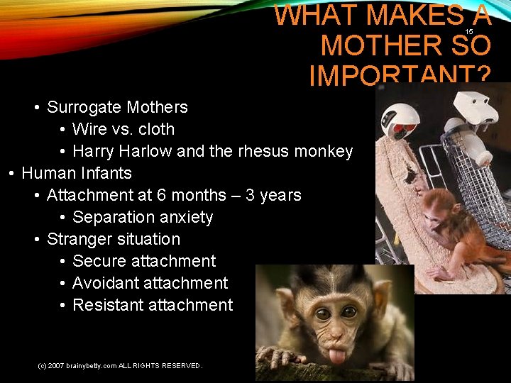 WHAT MAKES A MOTHER SO IMPORTANT? 15 • Surrogate Mothers • Wire vs. cloth