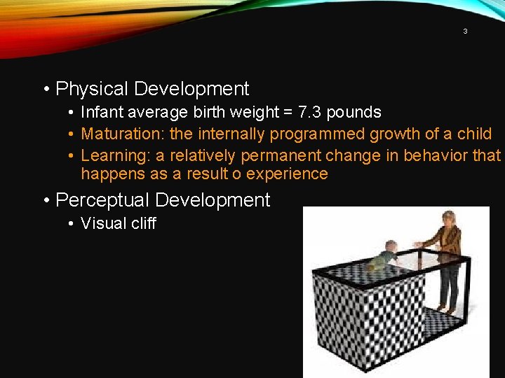 3 • Physical Development • Infant average birth weight = 7. 3 pounds •