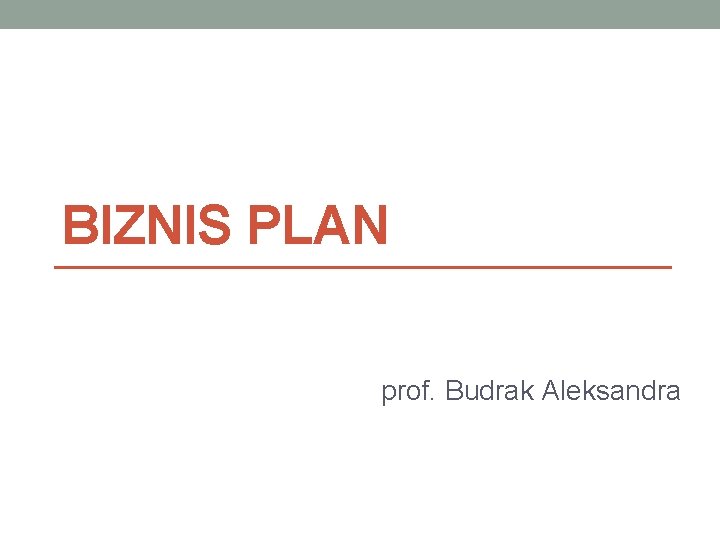 BIZNIS PLAN prof. Budrak Aleksandra 