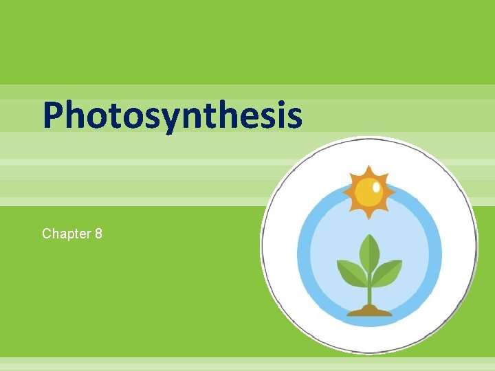 Photosynthesis Chapter 8 