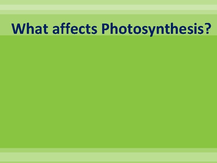 What affects Photosynthesis? 