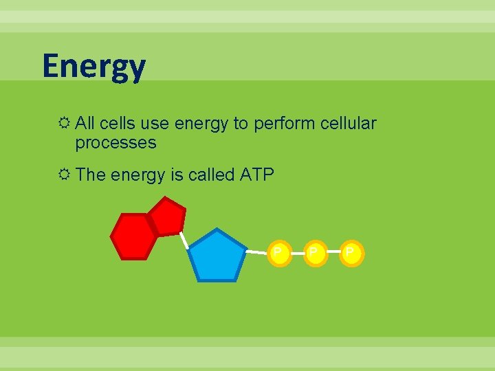 Energy All cells use energy to perform cellular processes The energy is called ATP