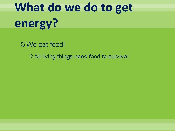What do we do to get energy? We eat food! All living things need