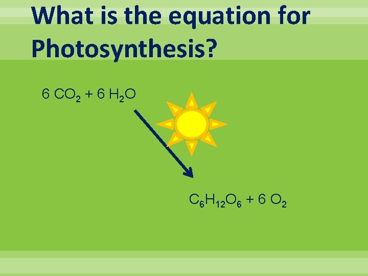 What is the equation for Photosynthesis? 6 CO 2 + 6 H 2 O
