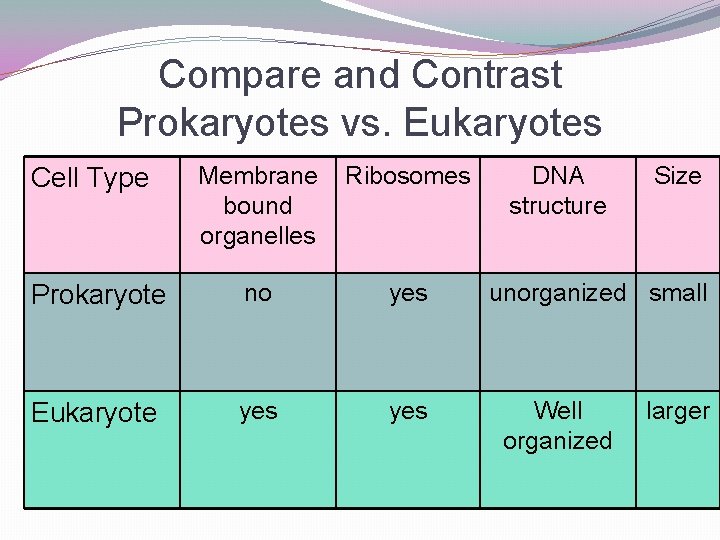 Compare and Contrast Prokaryotes vs. Eukaryotes Membrane bound organelles Ribosomes Prokaryote no yes Eukaryote