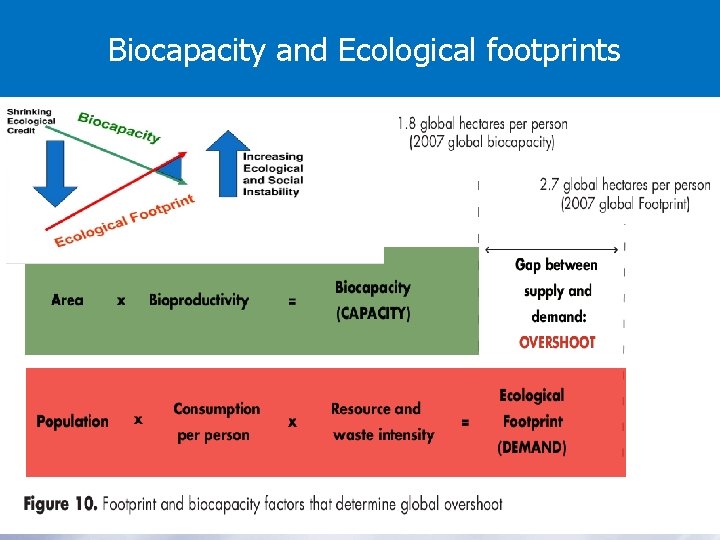 Biocapacity and Ecological footprints 