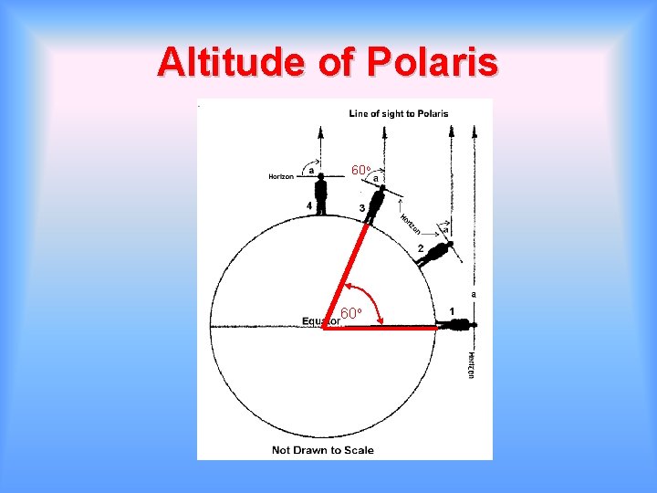 Altitude of Polaris 60 o 