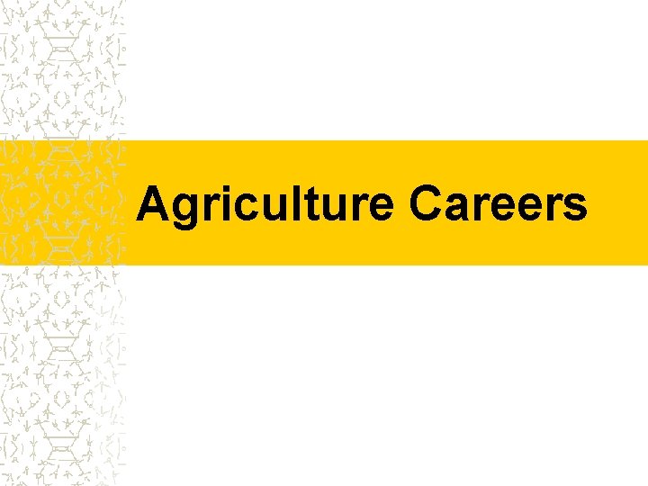 Agriculture Careers 