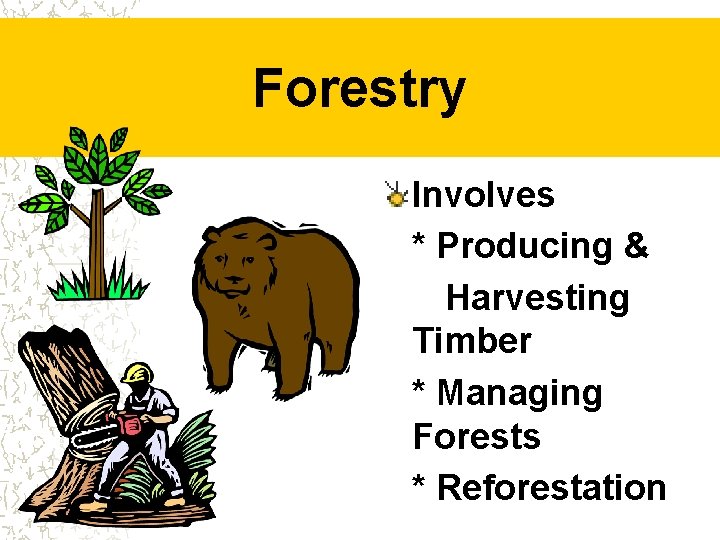 Forestry Involves * Producing & Harvesting Timber * Managing Forests * Reforestation 