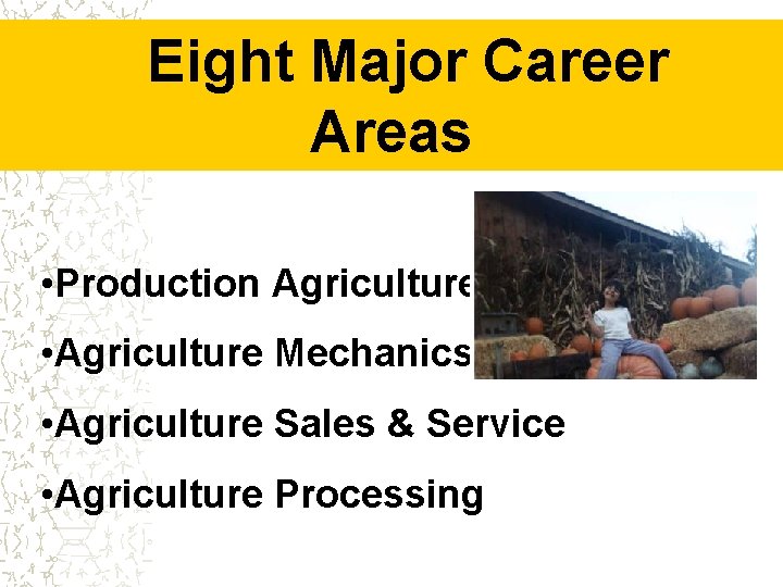 Eight Major Career Areas • Production Agriculture • Agriculture Mechanics • Agriculture Sales &