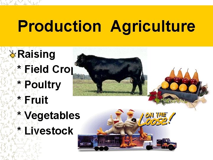 Production Agriculture Raising * Field Crops * Poultry * Fruit * Vegetables * Livestock