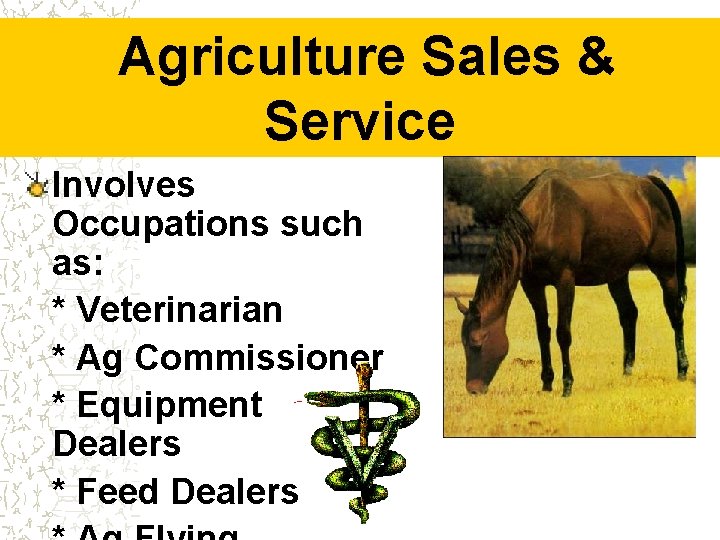 Agriculture Sales & Service Involves Occupations such as: * Veterinarian * Ag Commissioner *