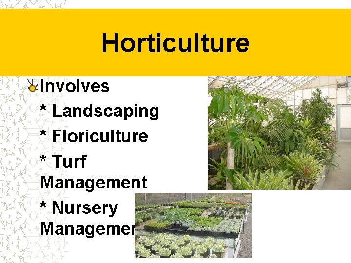 Horticulture Involves * Landscaping * Floriculture * Turf Management * Nursery Management 