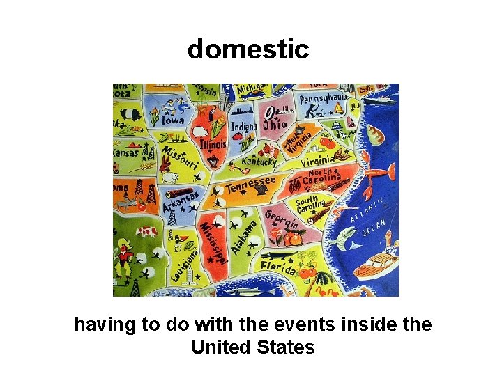 domestic having to do with the events inside the United States 