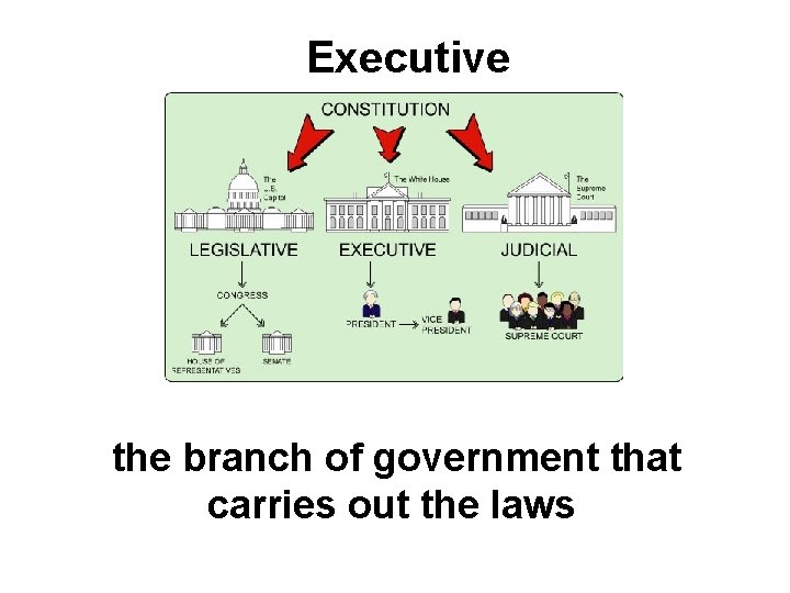 Executive the branch of government that carries out the laws 