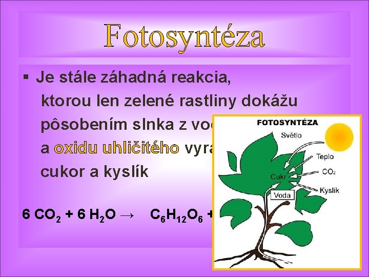 Fotosyntéza § Je stále záhadná reakcia, ktorou len zelené rastliny dokážu pôsobením slnka z