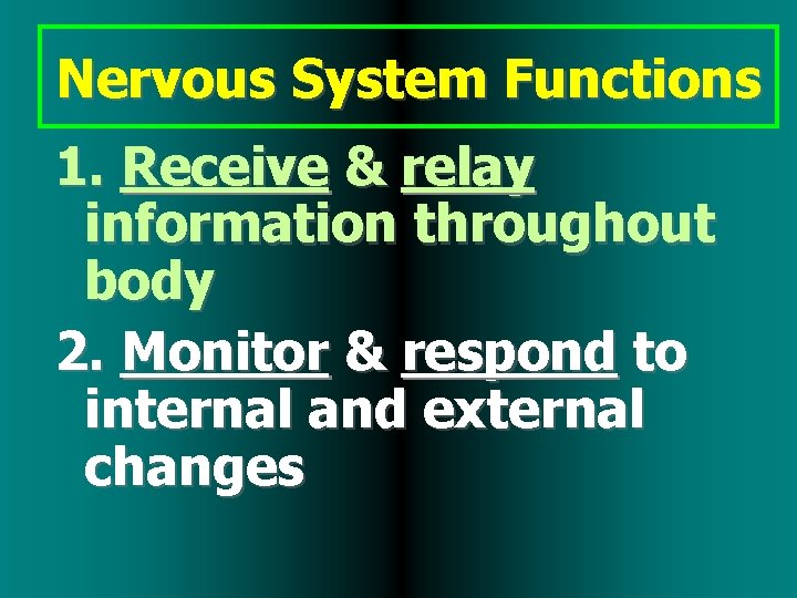 Nervous System Functions 1. Receive & relay information throughout body 2. Monitor & respond