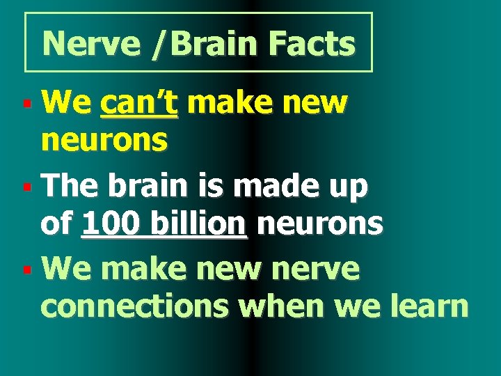 Nerve /Brain Facts We can’t make new neurons The brain is made up of
