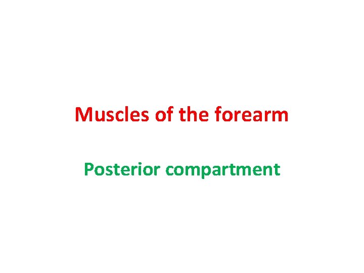 Muscles of the forearm Posterior compartment 