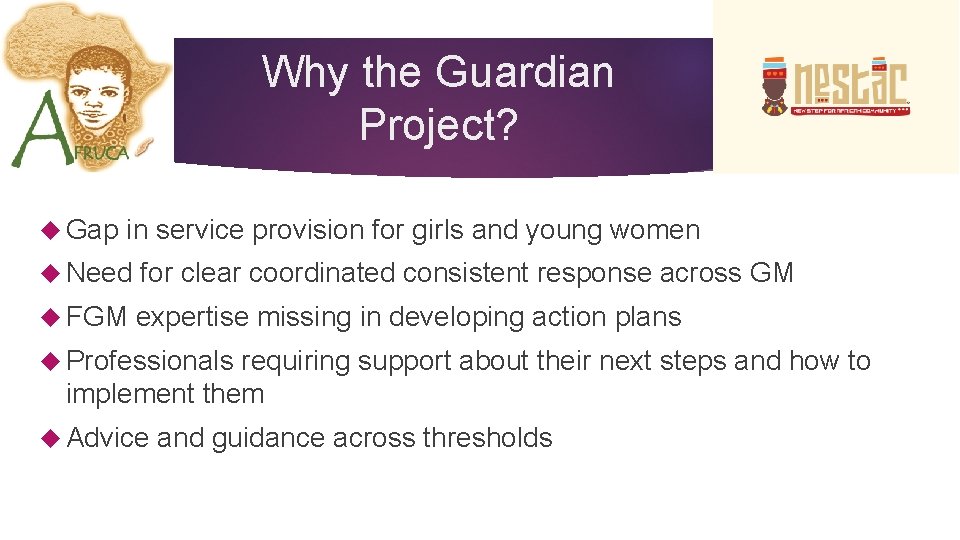 Why the Guardian Project? Gap in service provision for girls and young women Need